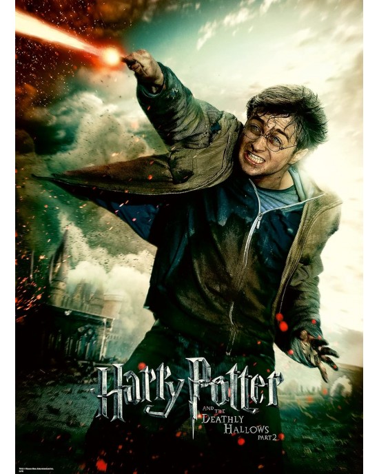 100 XXL κομμάτια HARRY POTTER'S MAGICAL WORLD 