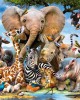 300 XXL κομμάτια AFRICAN FRIENDS