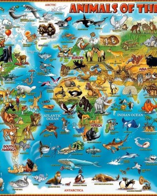 300 XXL κομμάτια WORLD OF ANIMALS