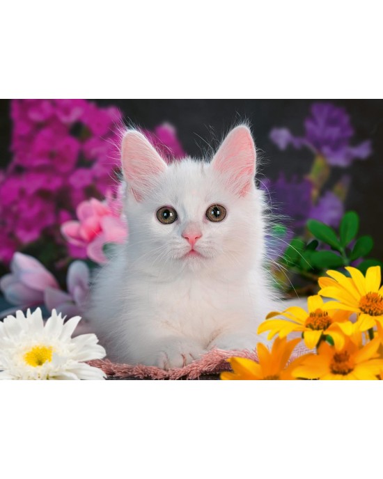 100 XXL κομμάτια GLITTER CAT