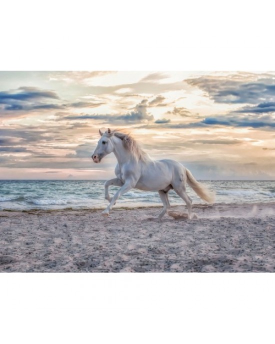 500 κομμάτια EVENING GALLOP