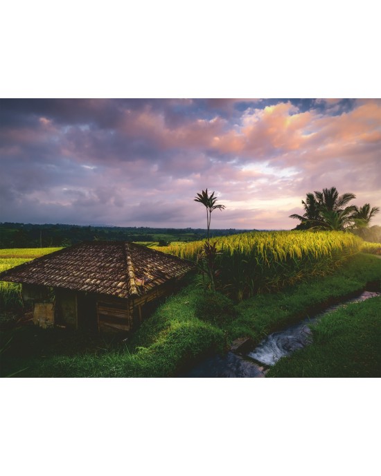 500 κομμάτια BALI RICE FIELDS