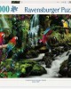 2000 κομμάτια PARROTS' PARADISE