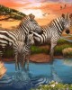 500 κομμάτια ZEBRAS AT WATERHOLE