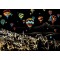 Scratch Art - Cappadocia