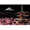 Scratch Art - Mount Fuji