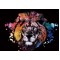 Scratch Art - Colorful Lion
