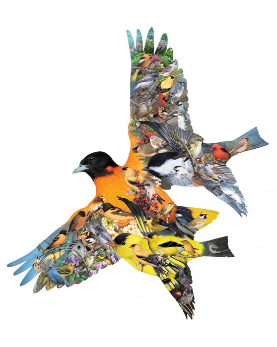 1000 κομμάτια ORIOLE