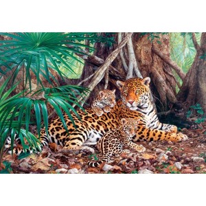3000 κομμάτια JAGUARS IN THE JUNGLE