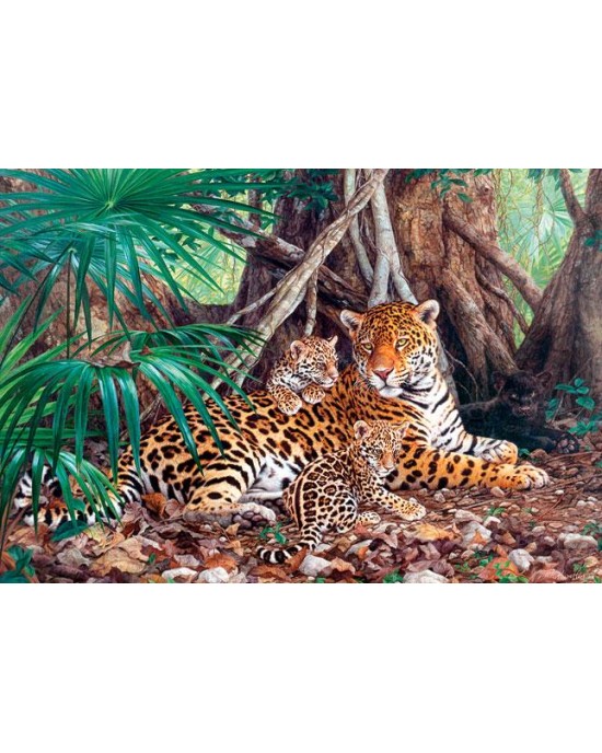 3000 κομμάτια JAGUARS IN THE JUNGLE