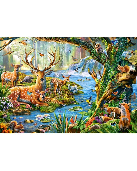 500 κομμάτια FOREST LIFE