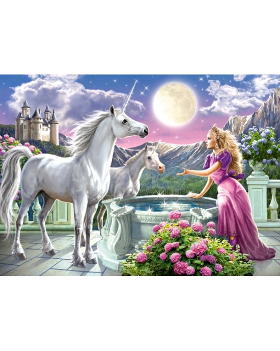 120 κομμάτια PRINCESS AND HER UNICORNS