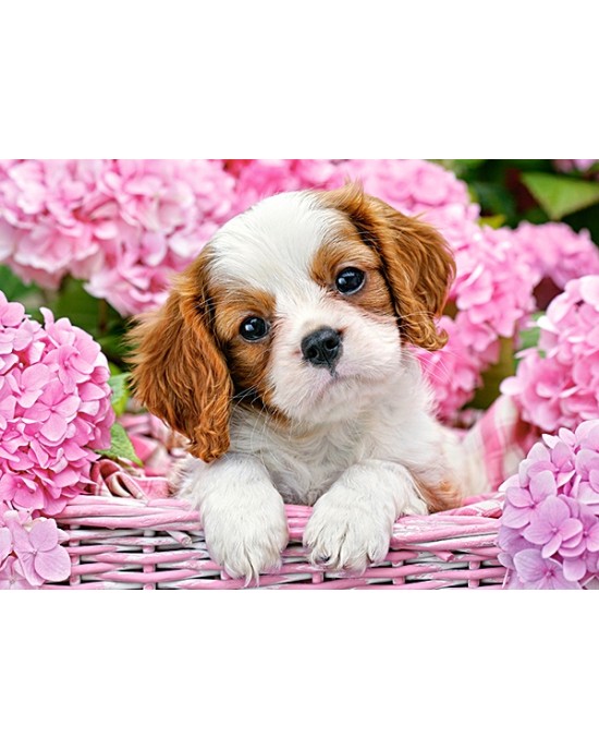 180  κομμάτια PUP IN PINK FLOWERS