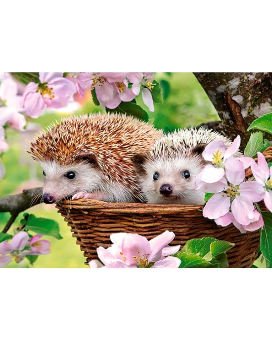 120 κομμάτια SPRINGTIME