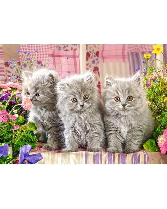 260 κομμάτια THREE GREY KITTENS
